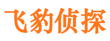 汤阴找人公司